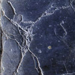 Theme 2: Fissures